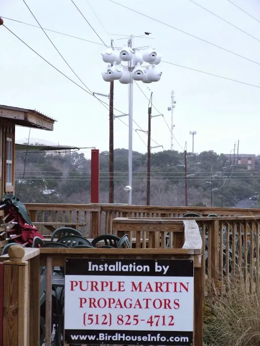 Purple Martin Propagators 5