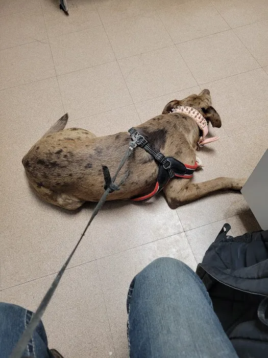 Animal Medical Services 6