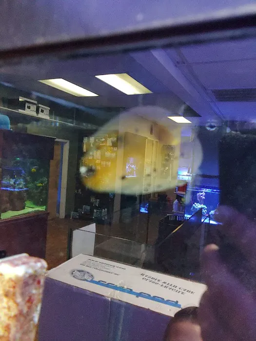 River City Aquatics 1