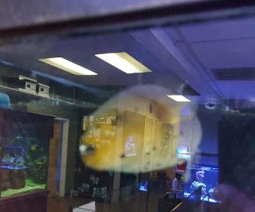 River City Aquatics