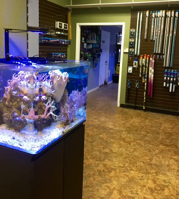 River City Aquatics 10