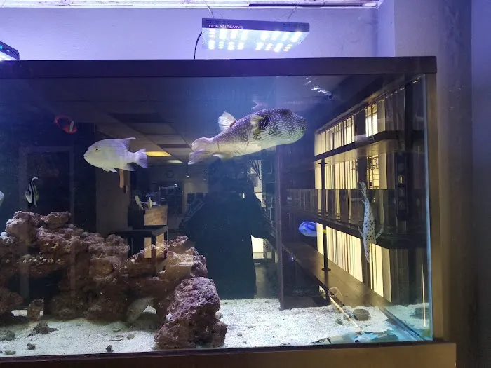 River City Aquatics 7