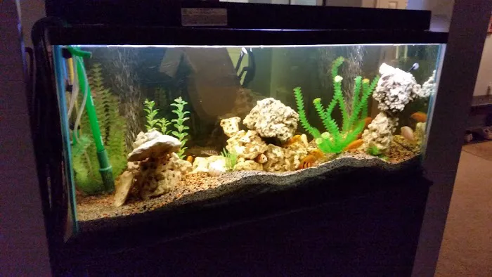 River City Aquatics 4