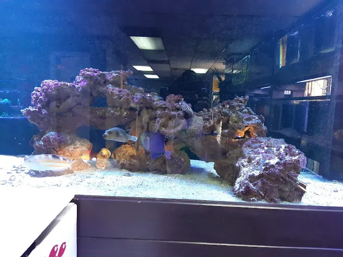 River City Aquatics 6