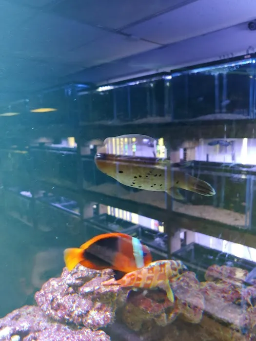River City Aquatics 2