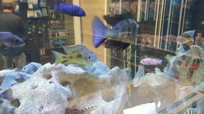 River City Aquatics 5