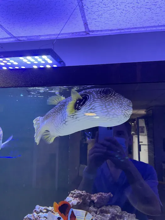 River City Aquatics 3