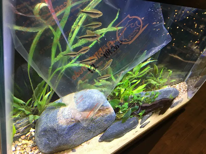 Petco 3