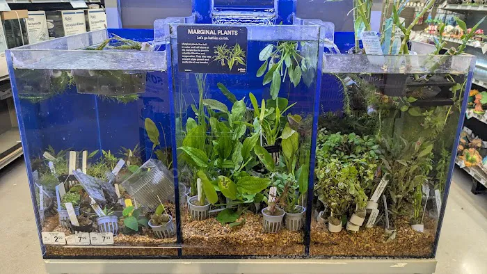 Petco 9