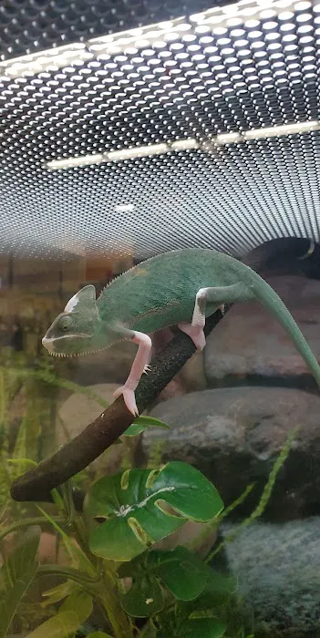 Petco 8