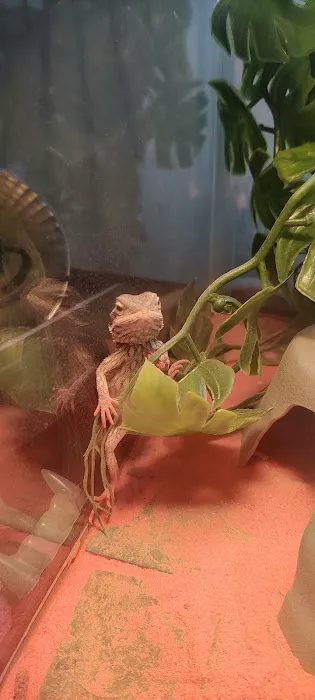 Petco 5