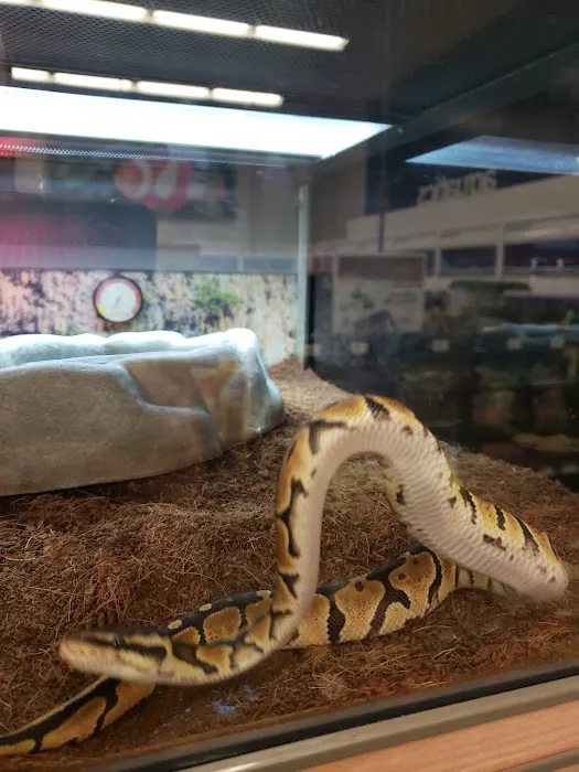 Petco 7