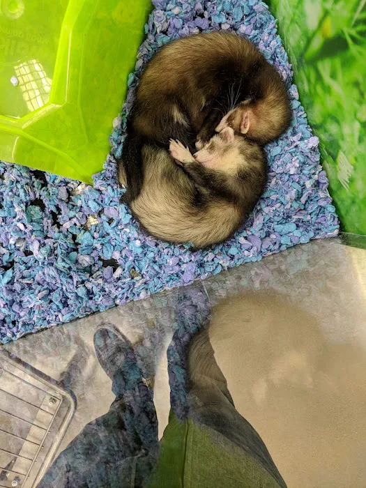 Petco 2