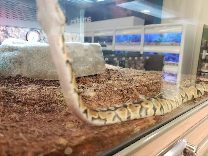 Petco 9