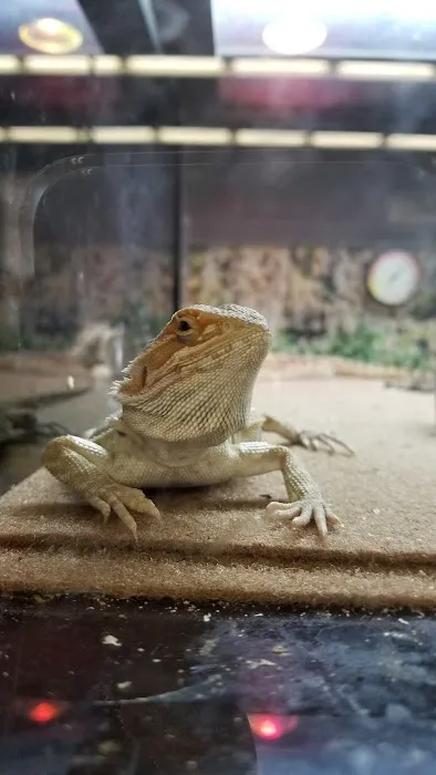 Petco 10