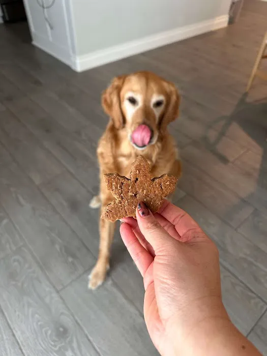 Pup Confections 7