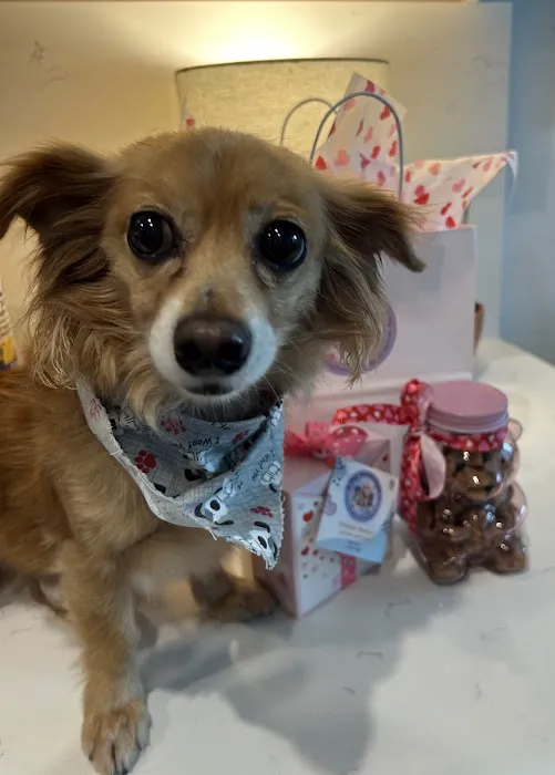 Pup Confections 4