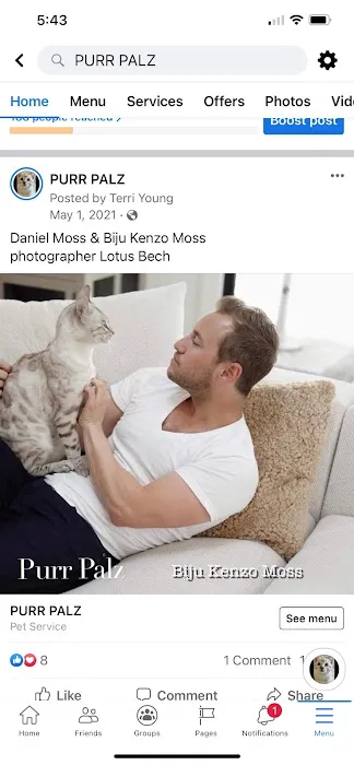 Purr Palz Bengals 3