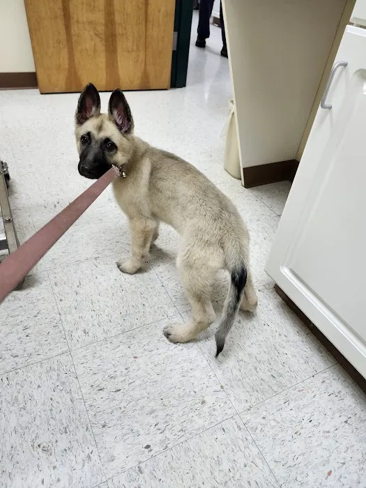 Northview Animal Hospital 3