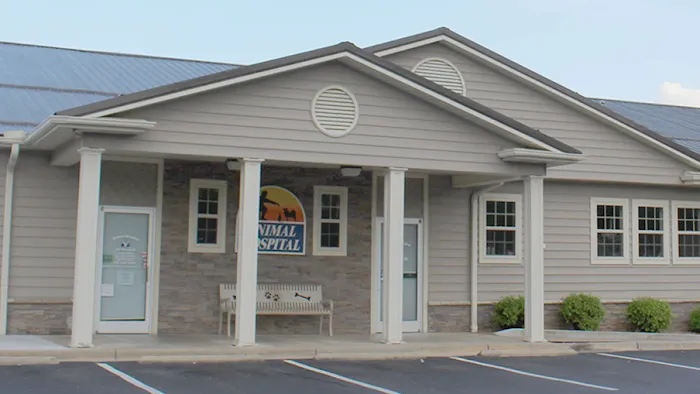 Animal Hospital of Wilkes 8