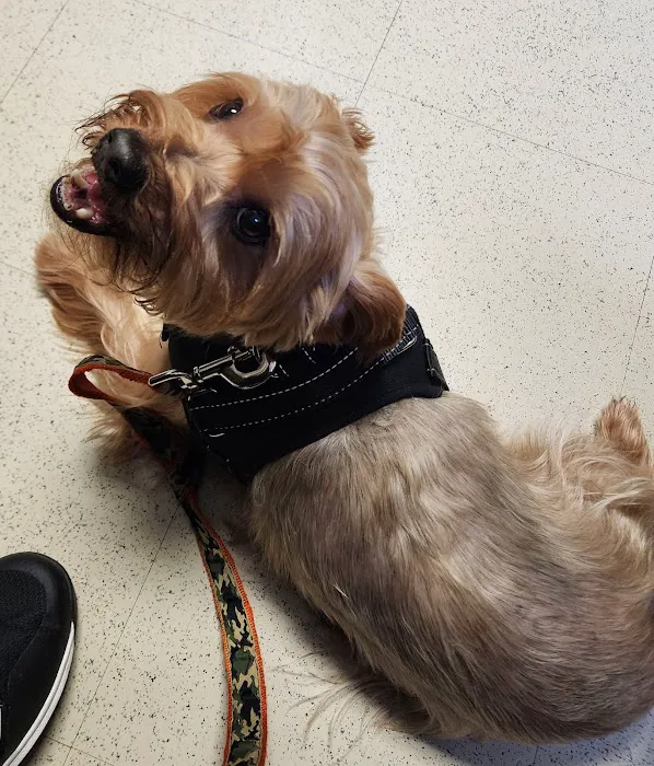 Animal Hospital of Wilkes 10
