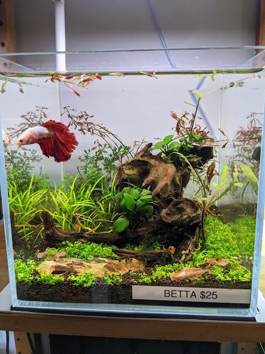 Tiny Aquatics 7