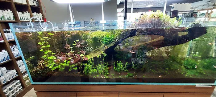 Tiny Aquatics 5