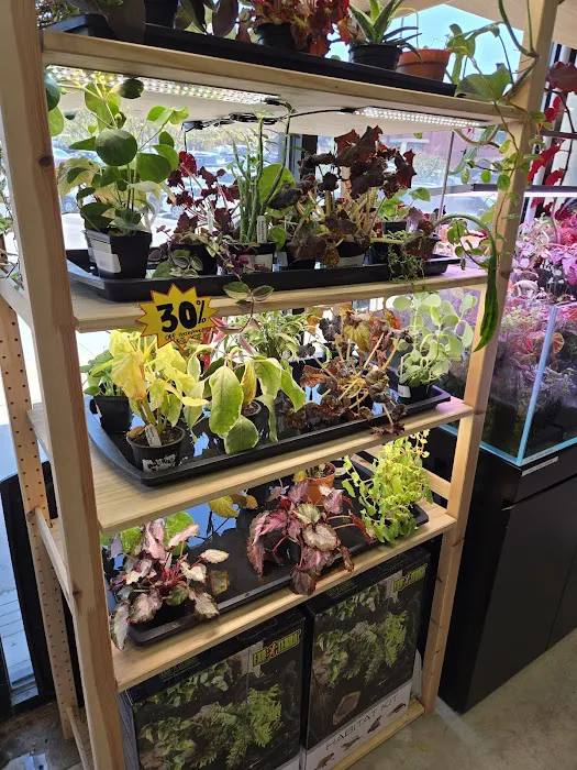 Tiny Aquatics 10