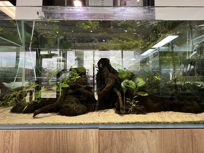 Tiny Aquatics 9