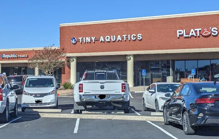 Tiny Aquatics 4