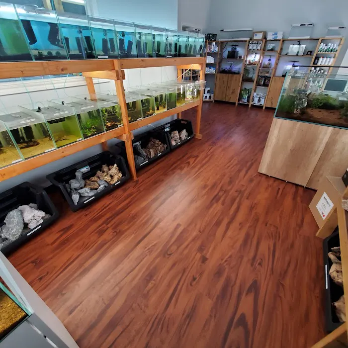 Tiny Aquatics 2