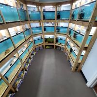 Tiny Aquatics ico