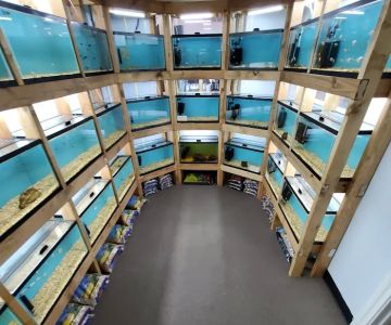 Tiny Aquatics