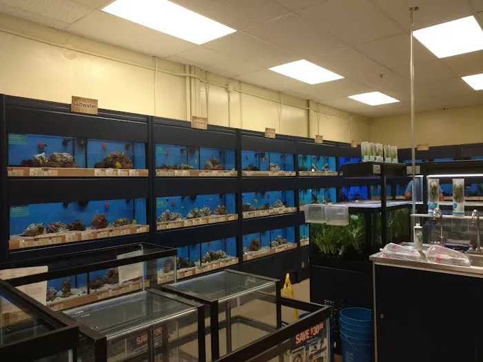 Petco 9