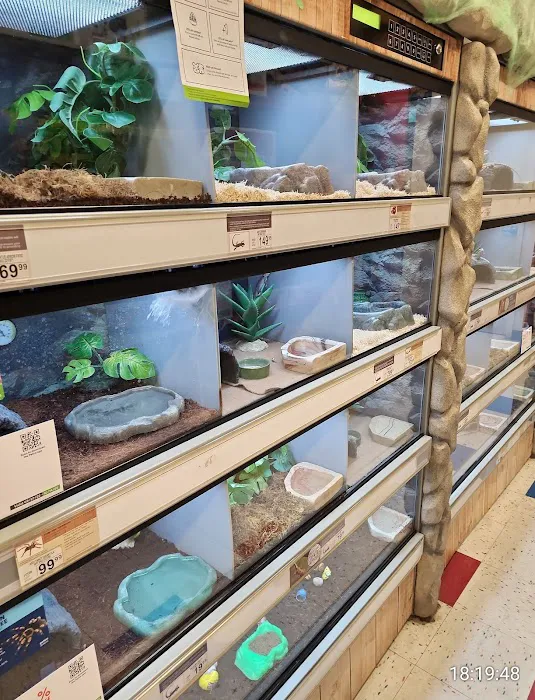 Petco 4