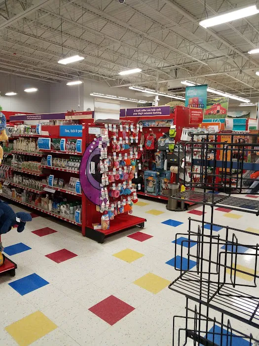 Petco 10