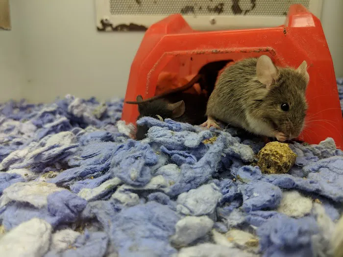 Petco 2