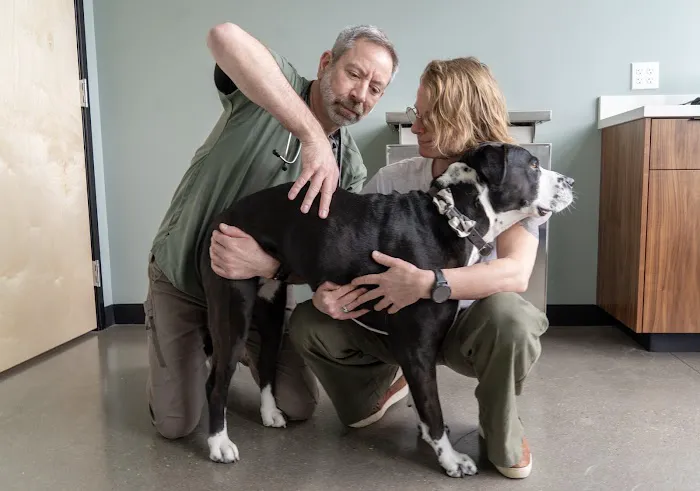 Doug Fir Veterinary Care 12