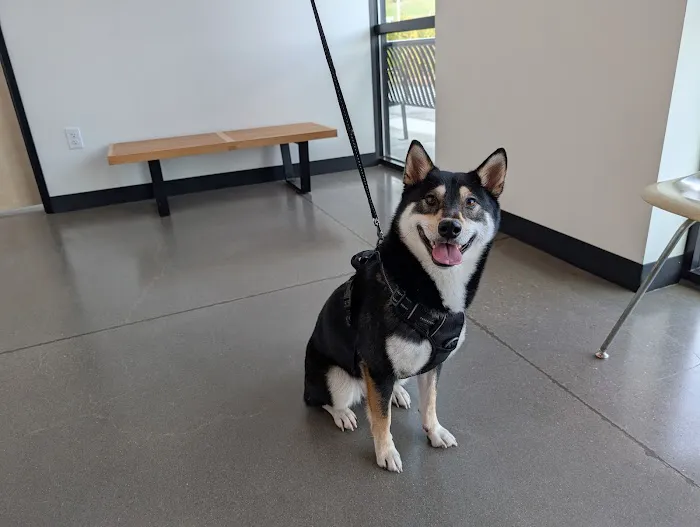 Doug Fir Veterinary Care 12