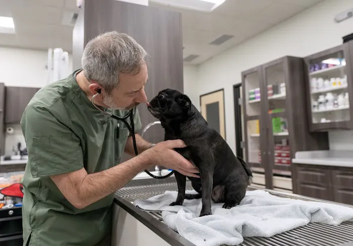 Doug Fir Veterinary Care 12