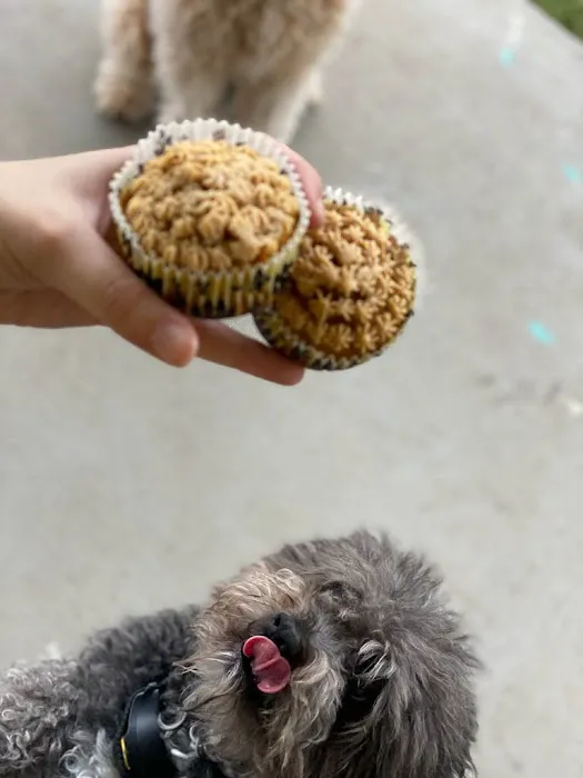 Bonnie's Pup Cakes 4