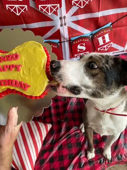 Bonnie's Pup Cakes 2