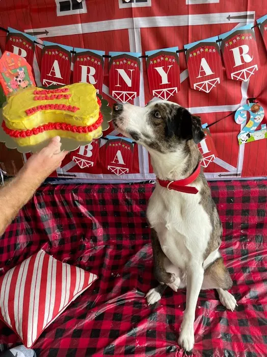 Bonnie's Pup Cakes 3