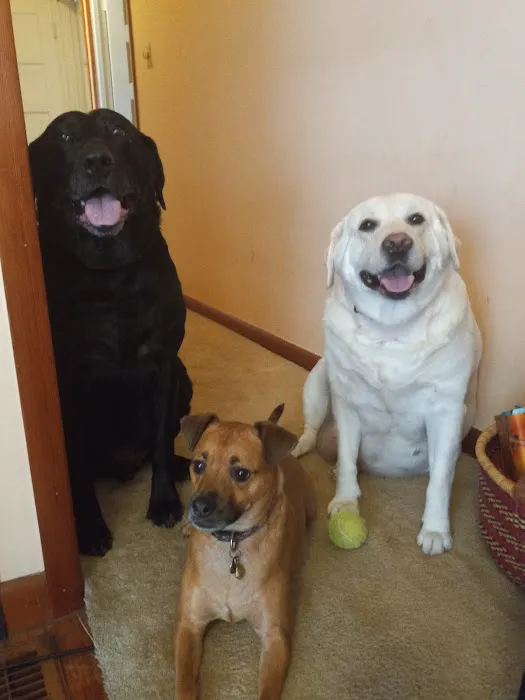 Barclay Hills Animal Clinic 12