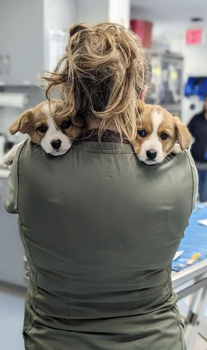 Barclay Hills Animal Clinic 12