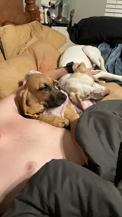 Furever Pets 10