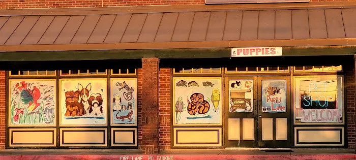Partners Pet Center 2