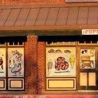 Partners Pet Center ico
