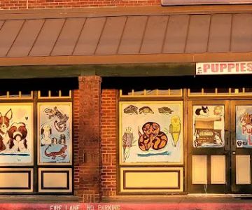Partners Pet Center