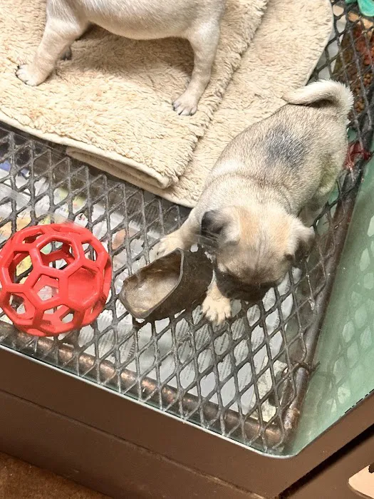 Partners Pet Center 3